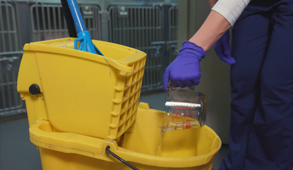 Pouring concentrate into mop bucket
