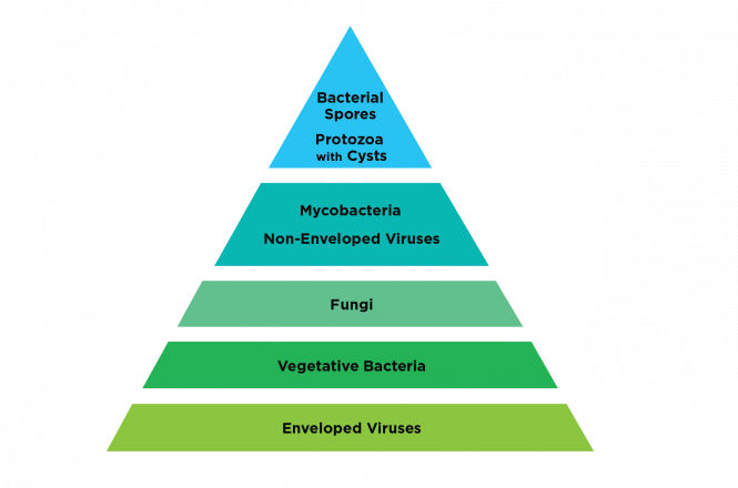 Pyramid showing hierarchy of susceptibility. Hardest to kill pathogens (clostridium difficile) to Easiest to Kill pathogens (Influenza, distemper, coronavirus)